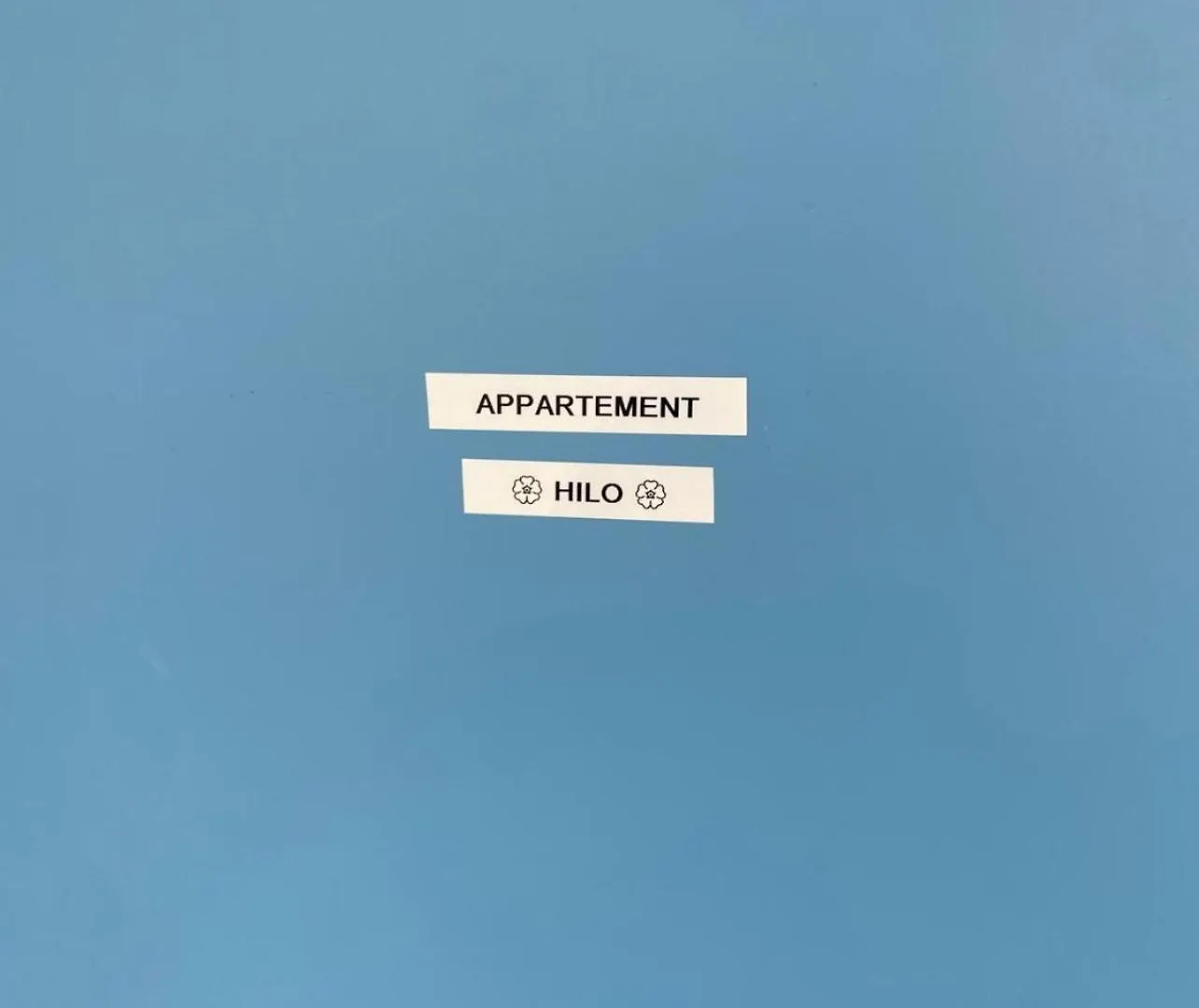 Hilo Charming Appartment Saint Laurent Sur Sane アパート Saint-Laurent-sur-Saone